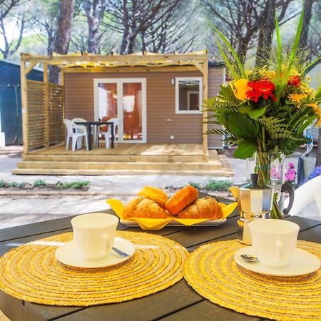 Camping Arcobaleno Marina Di Bibbona Ngoại thất bức ảnh