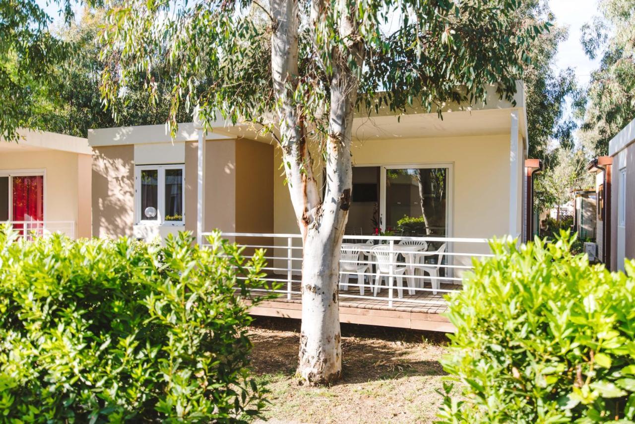 Camping Arcobaleno Marina Di Bibbona Ngoại thất bức ảnh