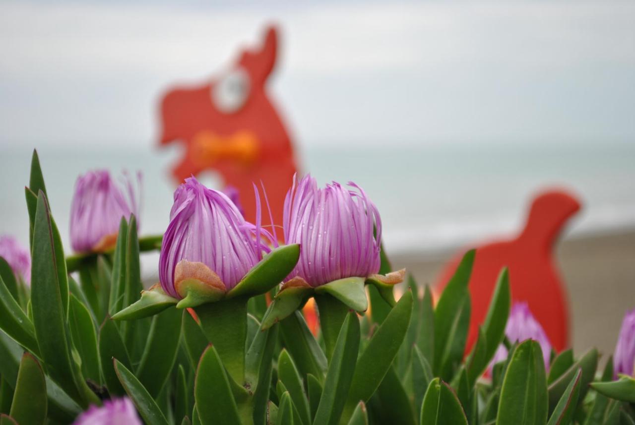 Camping Arcobaleno Marina Di Bibbona Ngoại thất bức ảnh